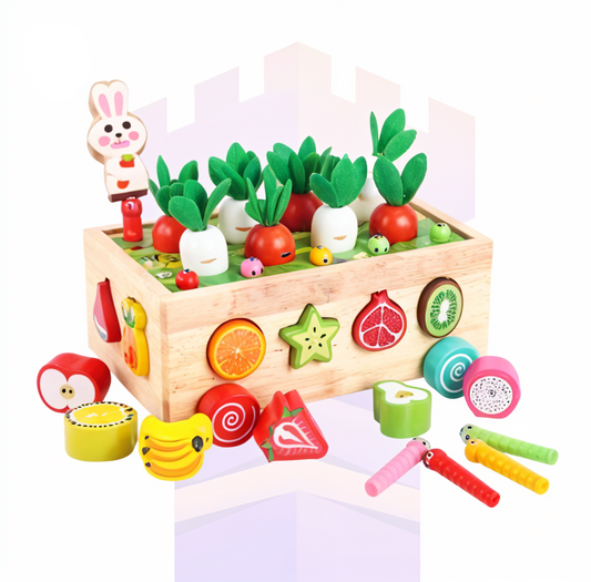 Montessori Garden Shape Sorter