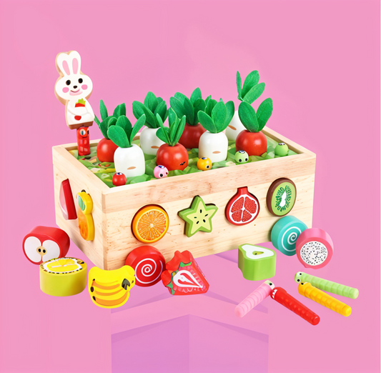 Montessori Garden Shape Sorter